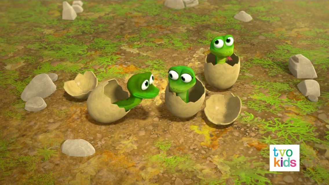 Bild von Baby snakes