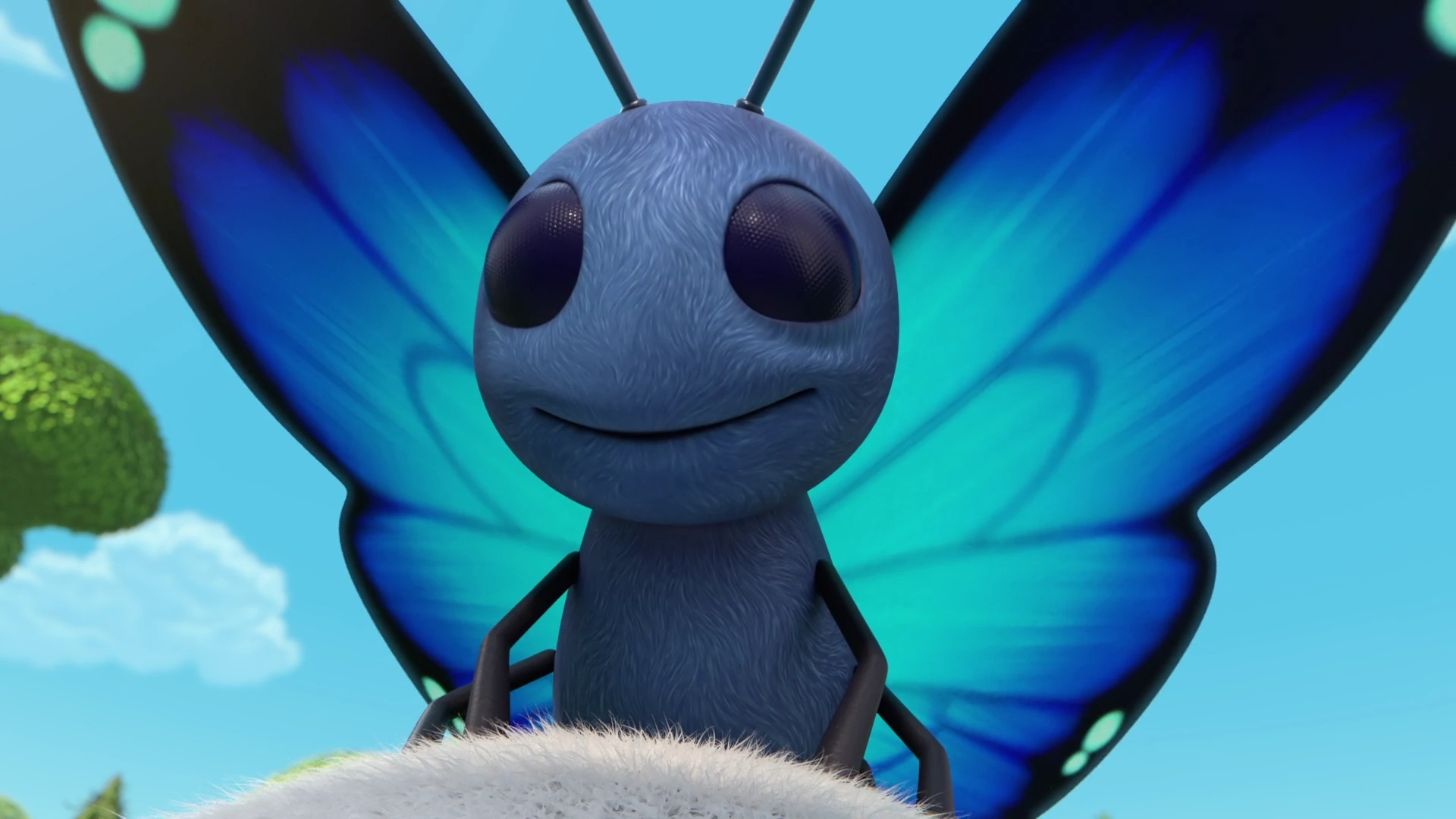 Bild von Blue (butterfly)