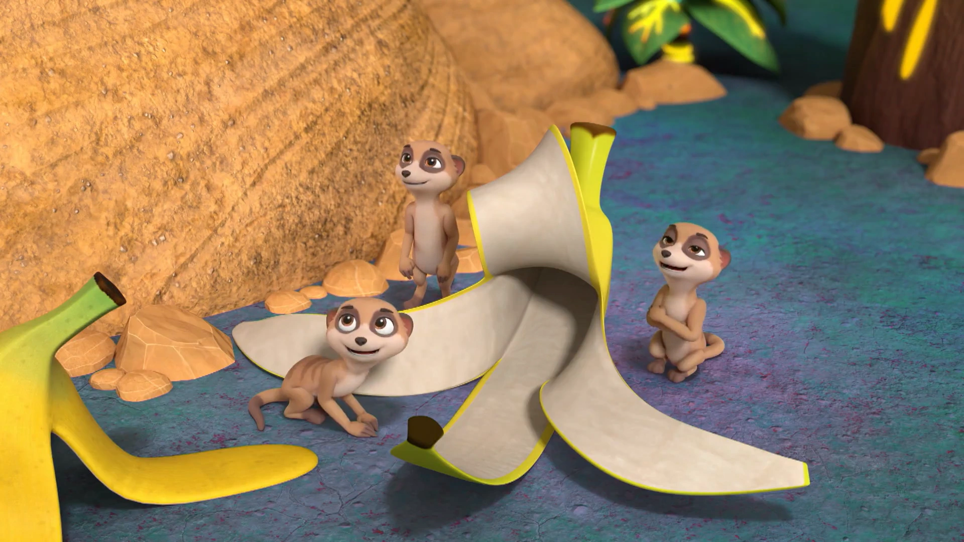 Bild von Hidden jungle meerkats