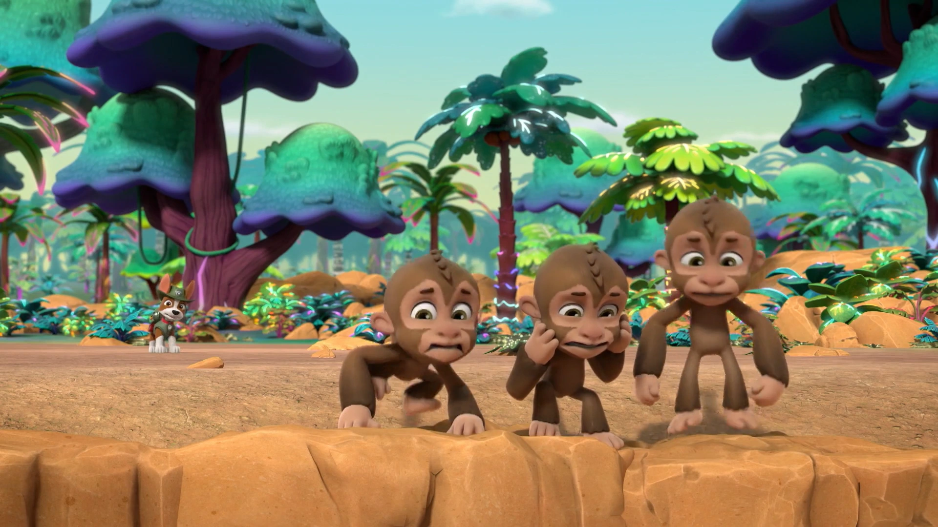 Bild von Hidden jungle monkeys