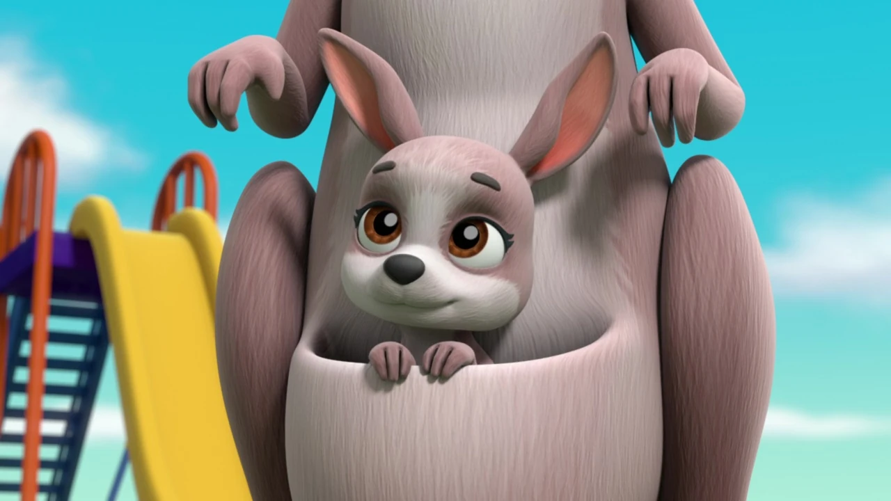 Bild von Joey (kangaroo)