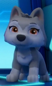 Bild von Little Wolfy