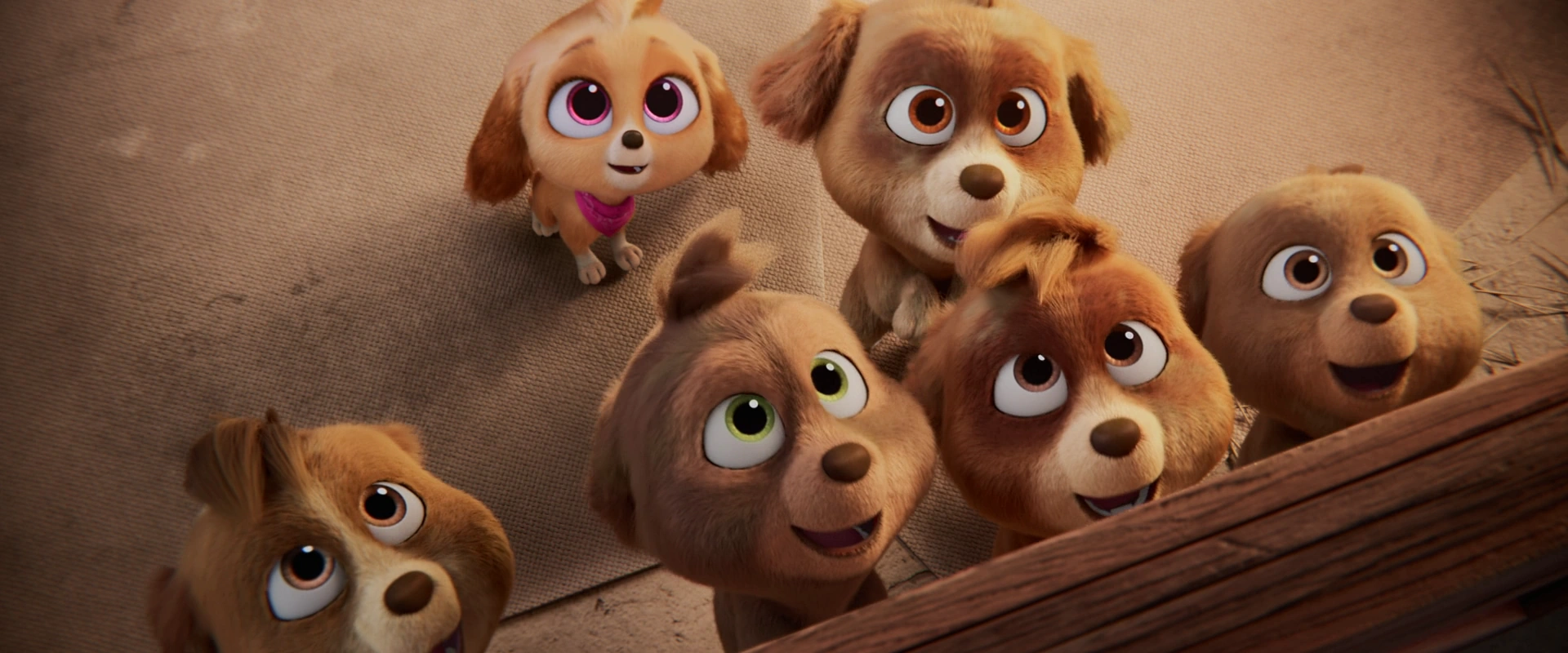 Bild von Skye's siblings