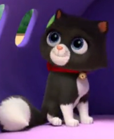 Bild von Unnamed black cat