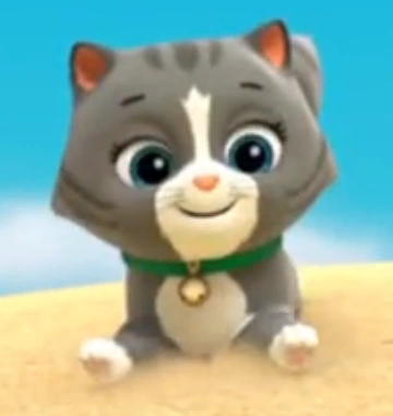 Bild von Unnamed gray cat